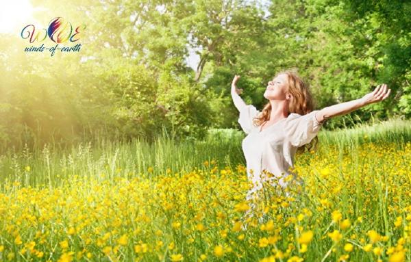 Webinar "aktive Energiearbeit" Termin: 16. Juli 2026